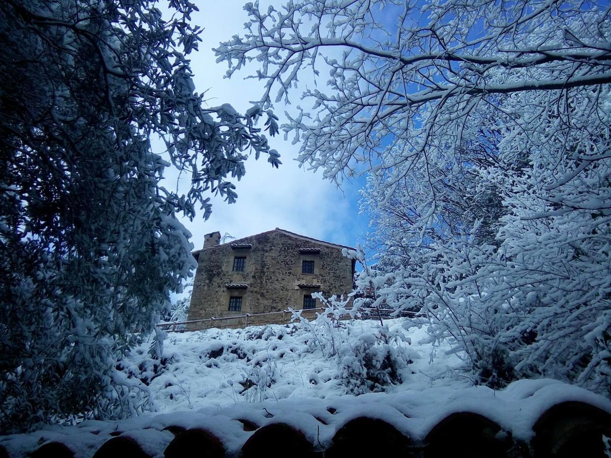 Mas Pardas Santa Pau Exterior foto